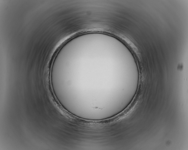 X0000095880933200801110801