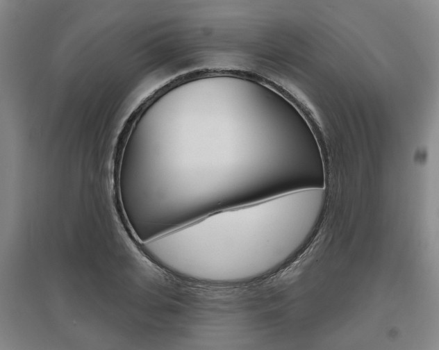 X0000095880935200801110801