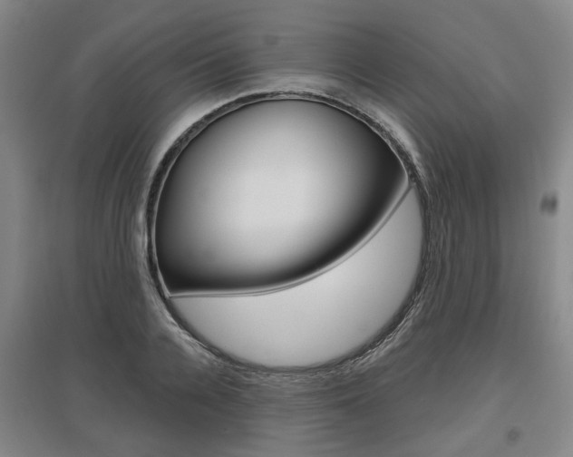 X0000095880936200801110801