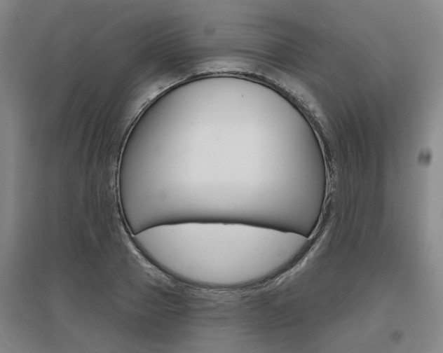 X0000095880937200801110801