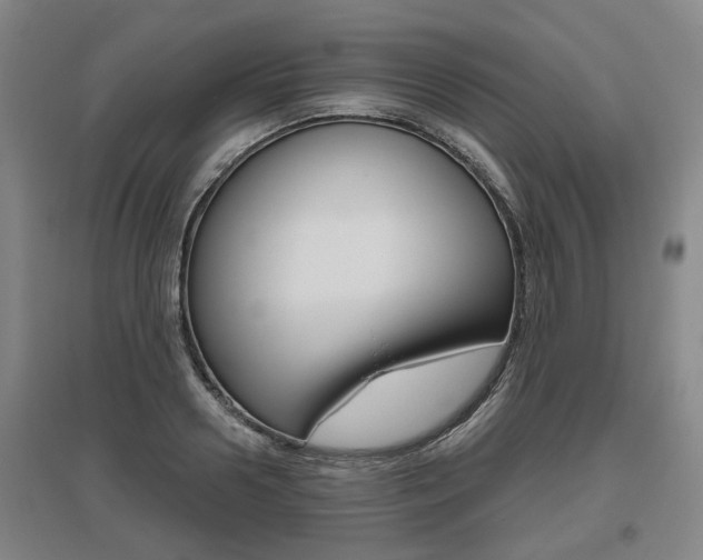 X0000095880938200801110801