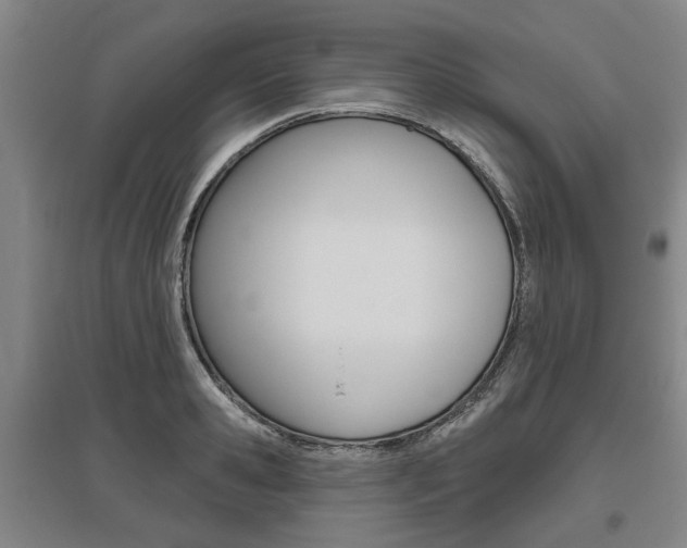 X0000095880941200801110801