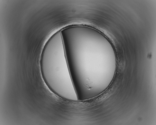 X0000095880943200801110801