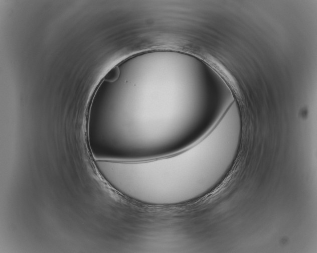 X0000095880956200801110801