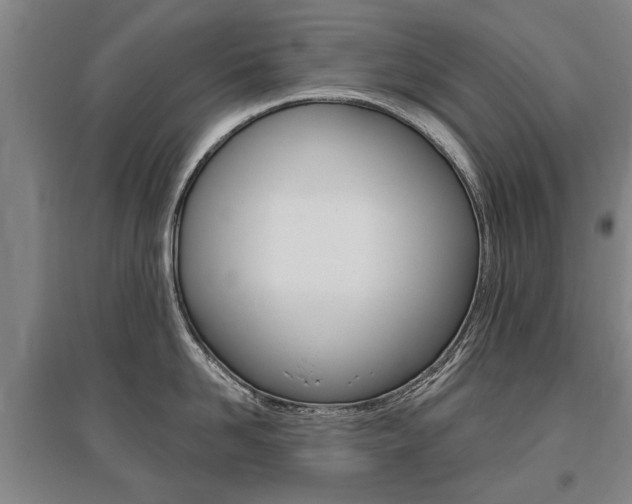 X0000095880958200801110801