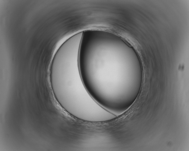 X0000095880960200801110801
