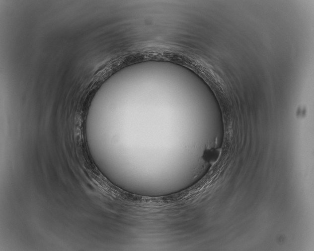 X0000095880964200801110801