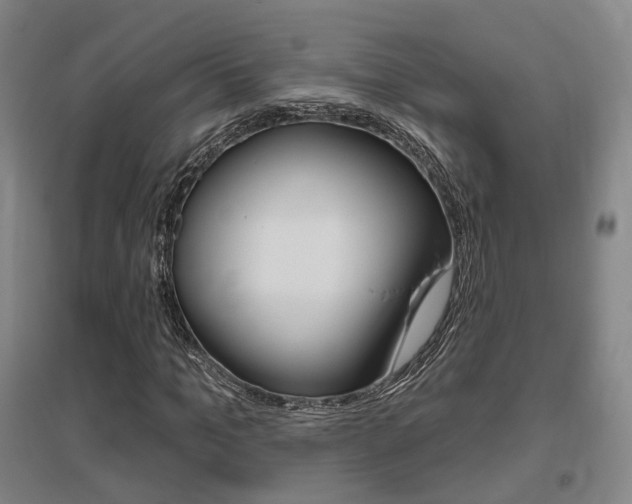 X0000095880965200801110801