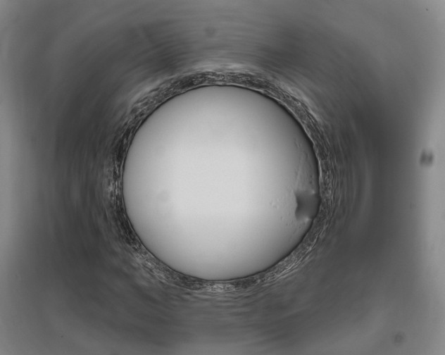 X0000095880966200801110801