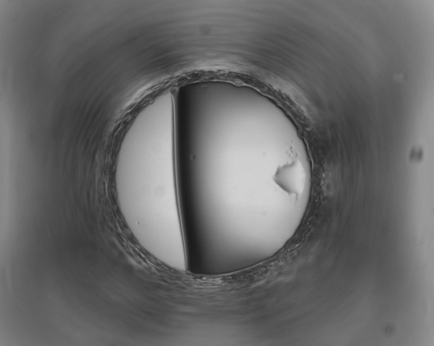 X0000095880968200801110800