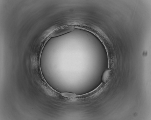 X0000095880969200801110800