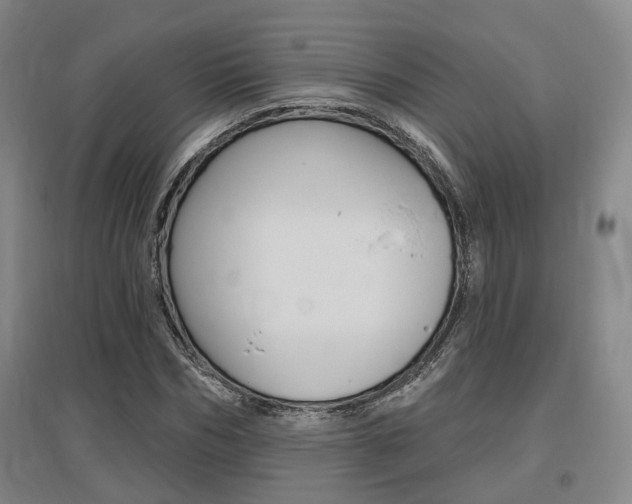 X0000095880970200801110800