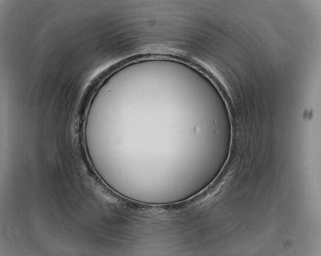 X0000095880971200801110800