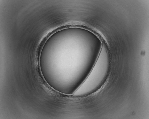 X0000095880973200801110800