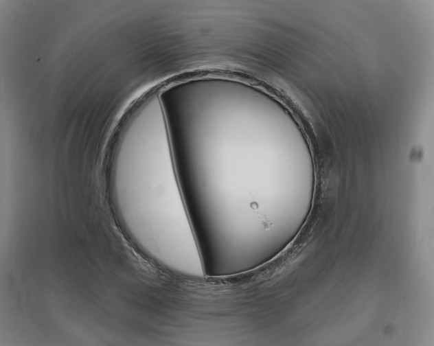 X0000095880975200801110800