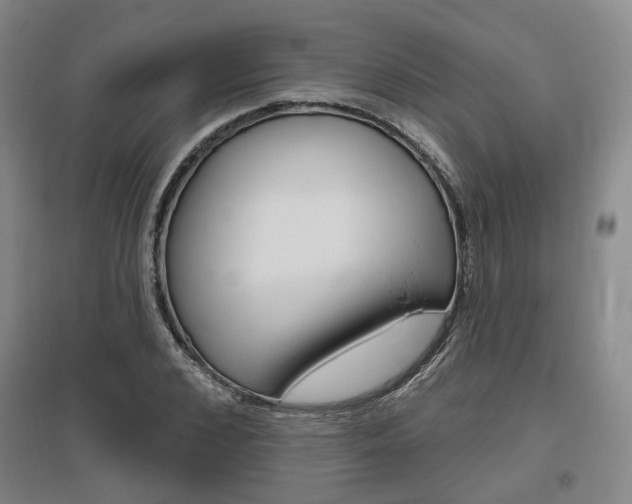 X0000095880976200801110800
