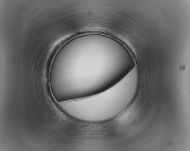 X0000095880979200801110800