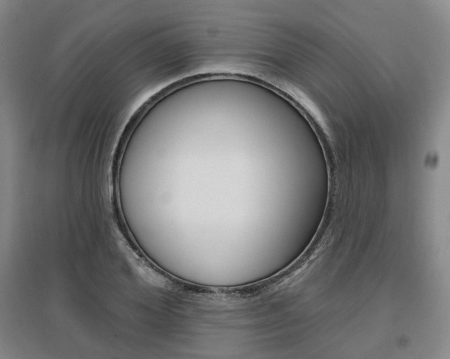 X0000095880980200801110800