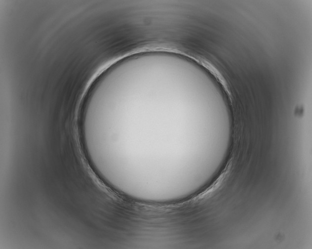 X0000095880981200801110800
