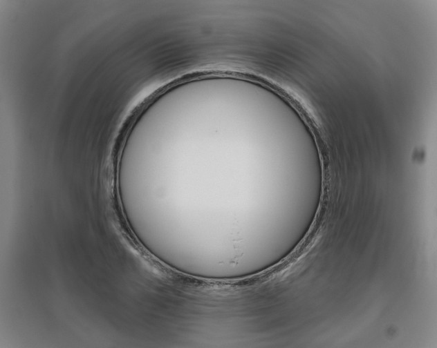 X0000095880982200801110800