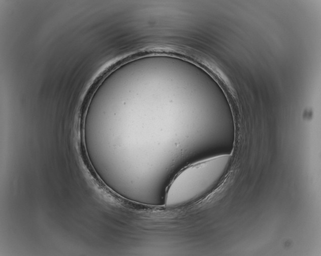 X0000095880984200801110800