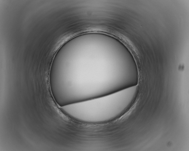 X0000095880985200801110800