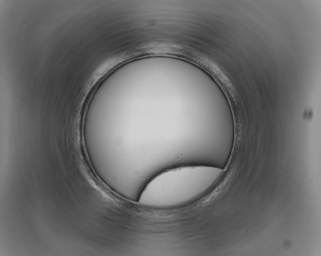 X0000095880986200801110800