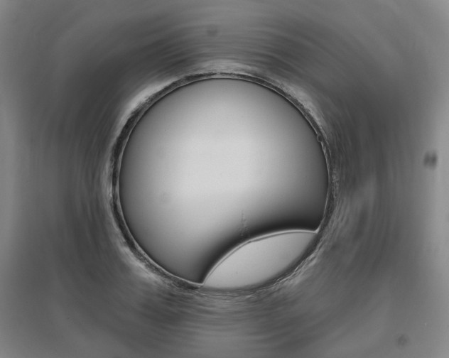 X0000095880987200801110800