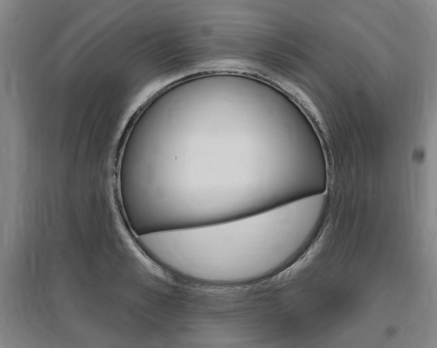 X0000095880989200801110800