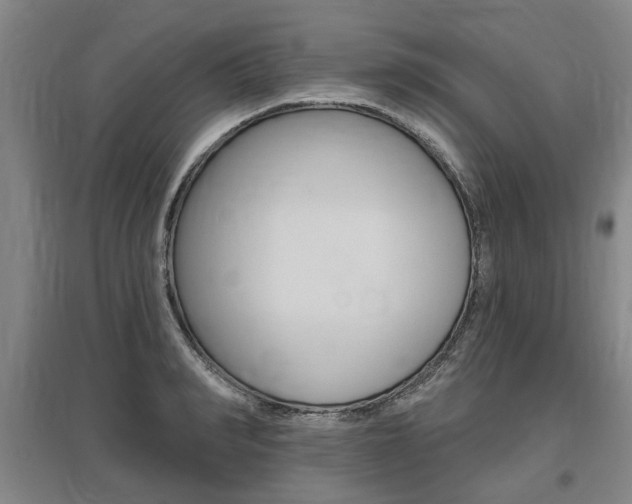X0000095880990200801110800