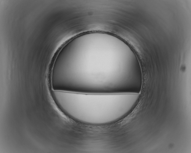 X0000095880991200801110800