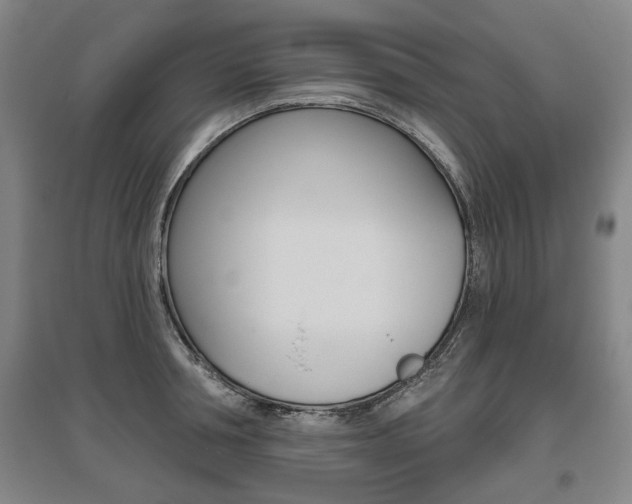 X0000095880994200801110800