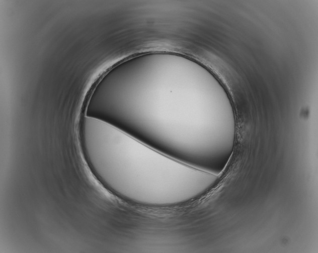 X0000095880995200801110800
