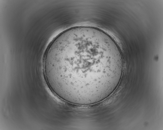 X0000095880998200801110800