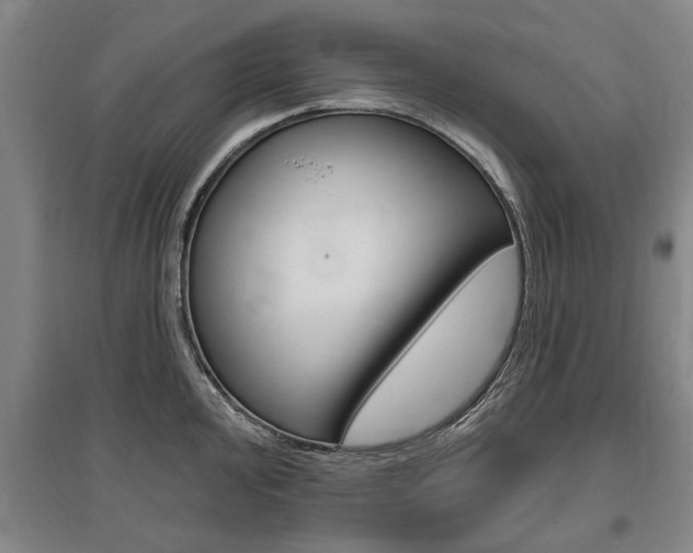X0000095881000200801110800