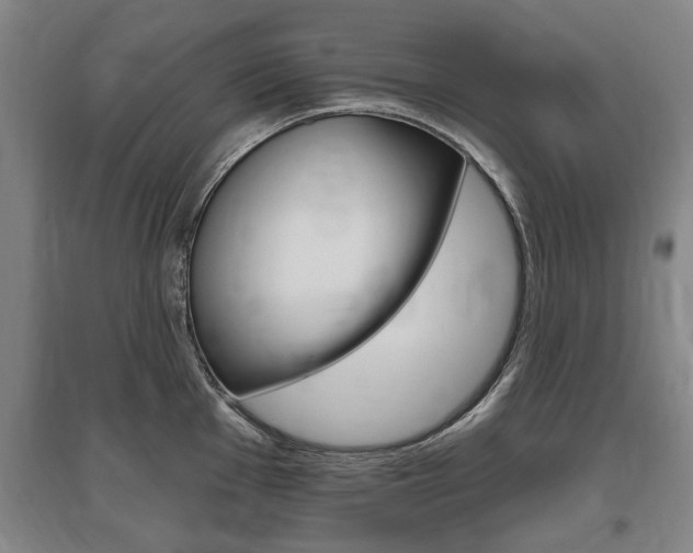 X0000095881001200801110800