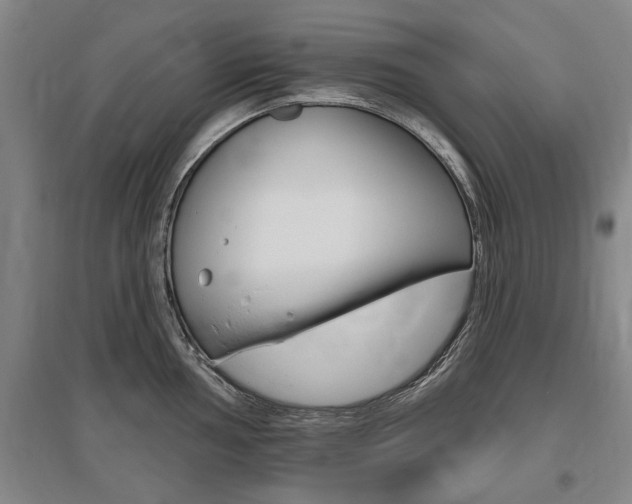 X0000095881002200801110800