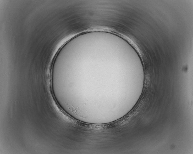 X0000095881003200801110800