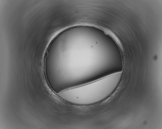 X0000095881004200801110800