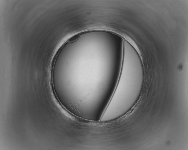 X0000095881005200801110800