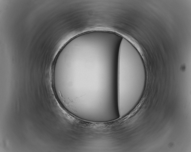 X0000095881006200801110800