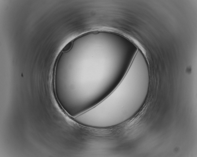 X0000095881007200801110800