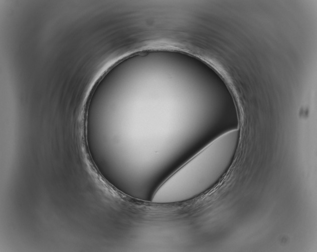 X0000095881008200801110800