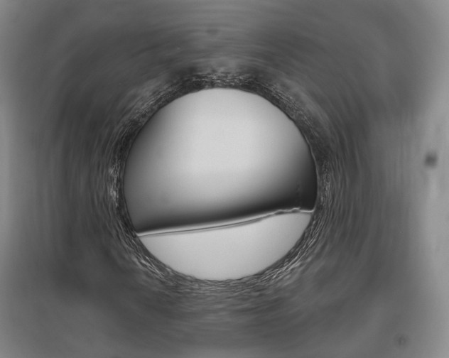 X0000095881010200801110759