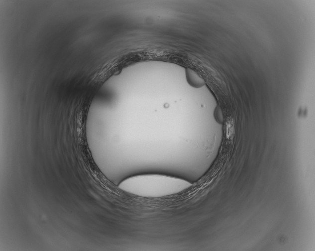 X0000095881011200801110759