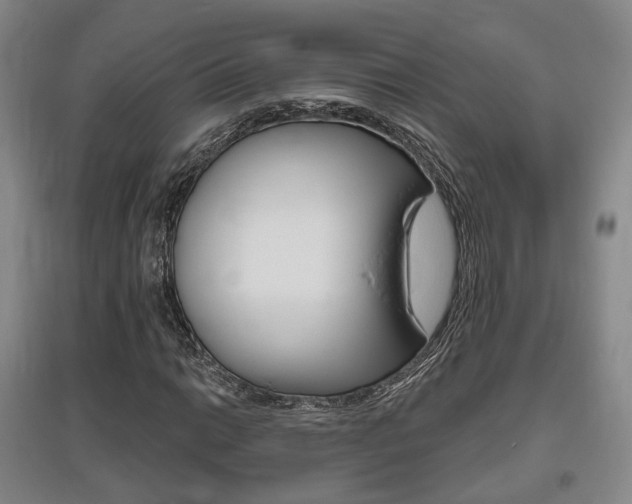 X0000095881014200801110759