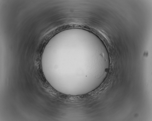X0000095881015200801110759