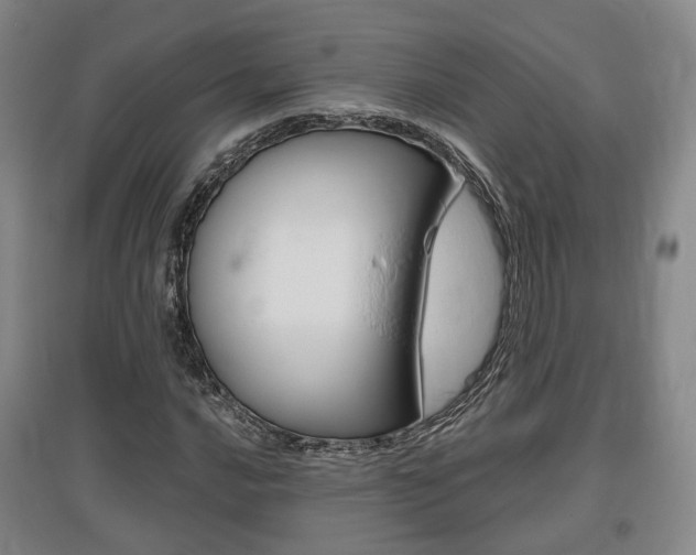 X0000095881016200801110759
