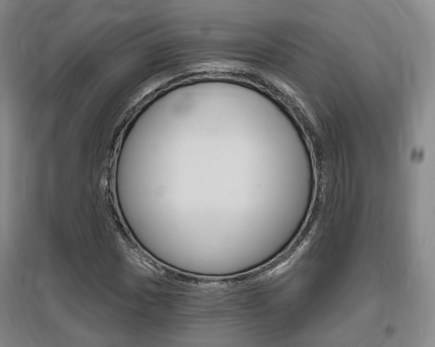X0000095881017200801110759