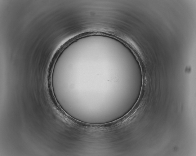 X0000095881020200801110759